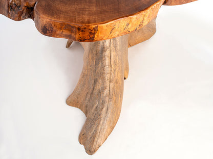 Silver Maple w/ Northern White Cedar Stump